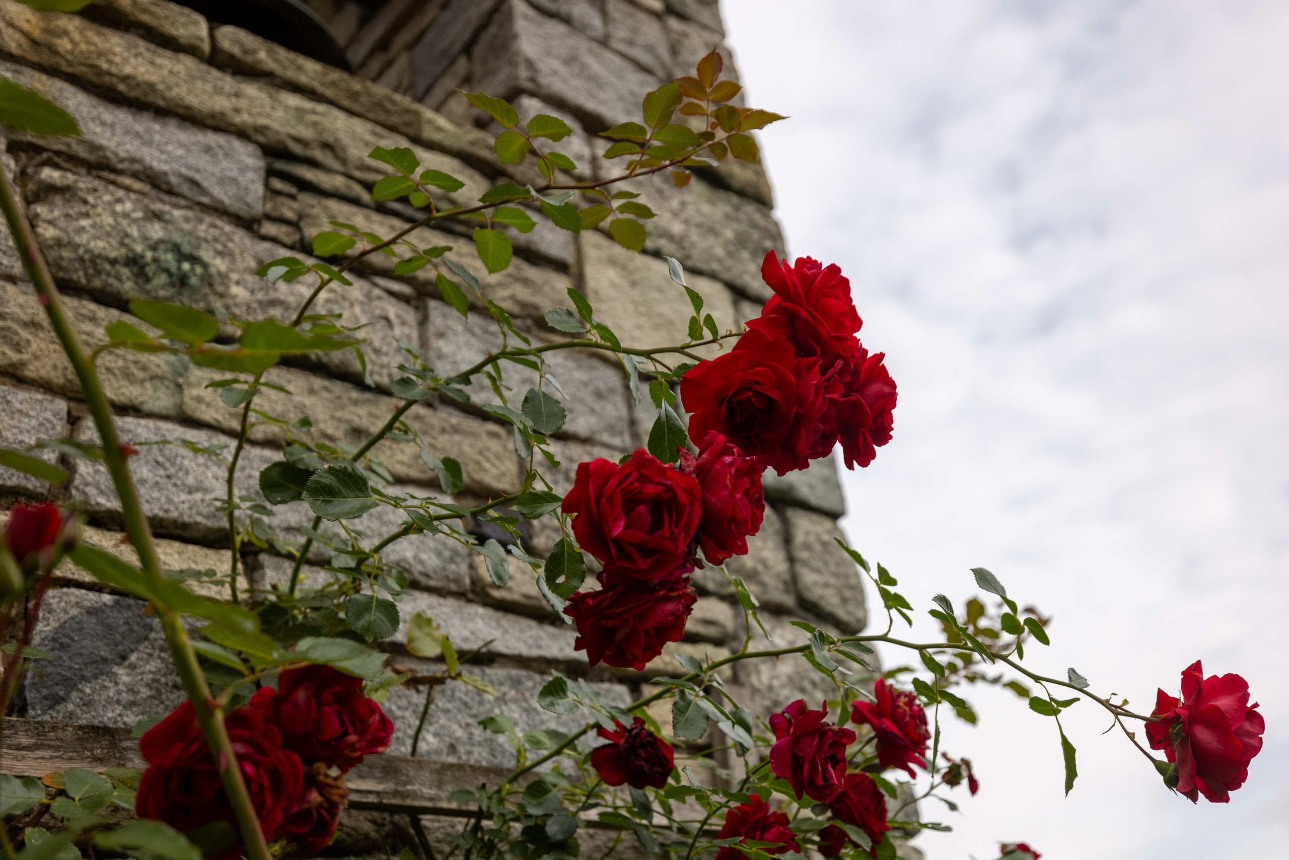 20231014113341 R5D 3960